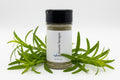 Ground Tarragon